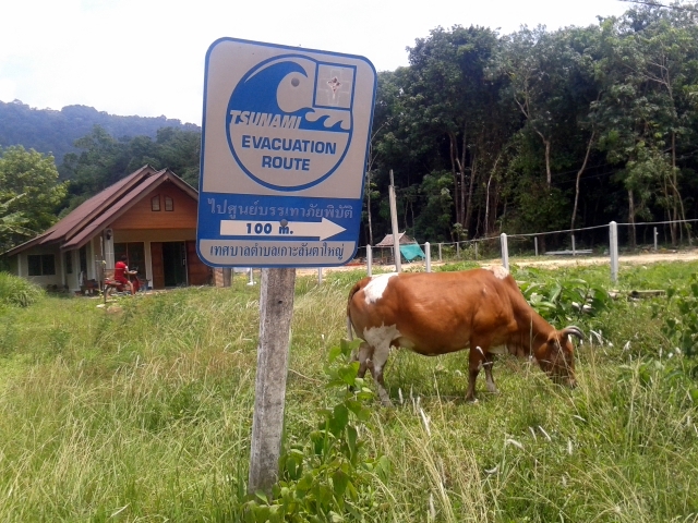 Remnants of the tsunami. Will these signs survive to the next tsunami?