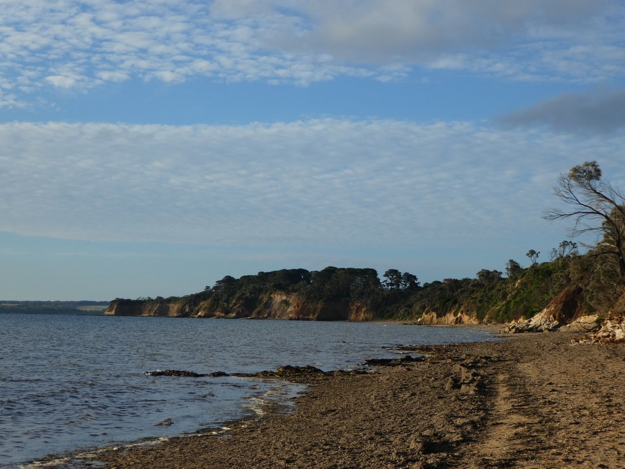 Coronet Bay- plaża