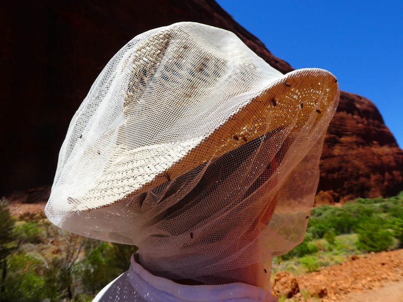 Idąc szlakiem przy skałach Kata Tjuta musieliśmy założyć moskitiery na głowy, czyli w naszym wykonaniu kawałek firanki, którą mieliśmy w aucie, bo muchy były nieznośne!