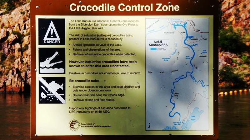 Znak ostrzegawczy o krokodylach, którego lekturą byliśmy pochłonięci, kiedy podpływał do nas osobnik tego gatunku
