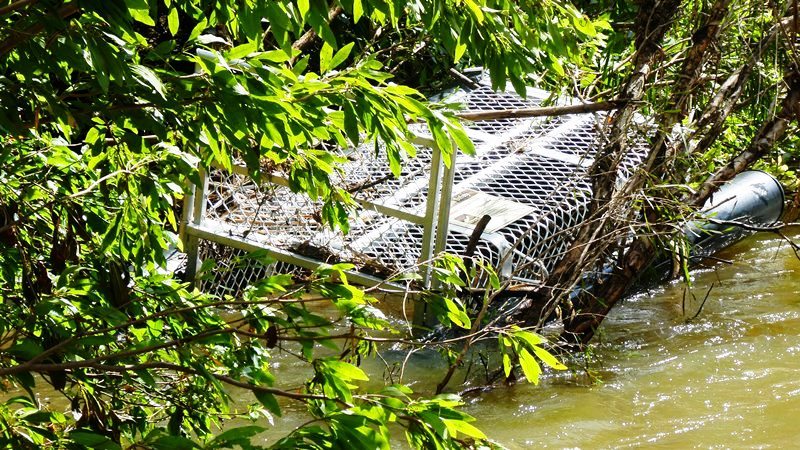 Klatka na krokodyle - krokodyle różańcowe są usuwane z miejsc, gdzie przebywają ludzie