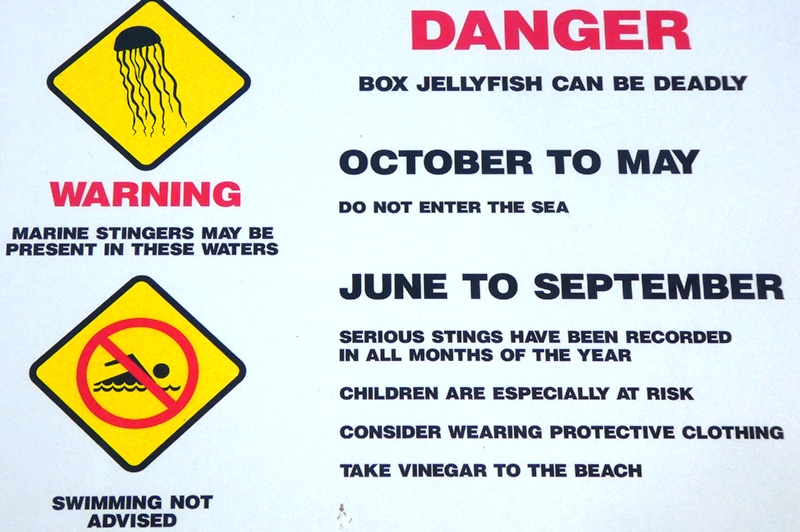 Znak infromujący o występowaniu groźnych meduz w miejscowości Darwin