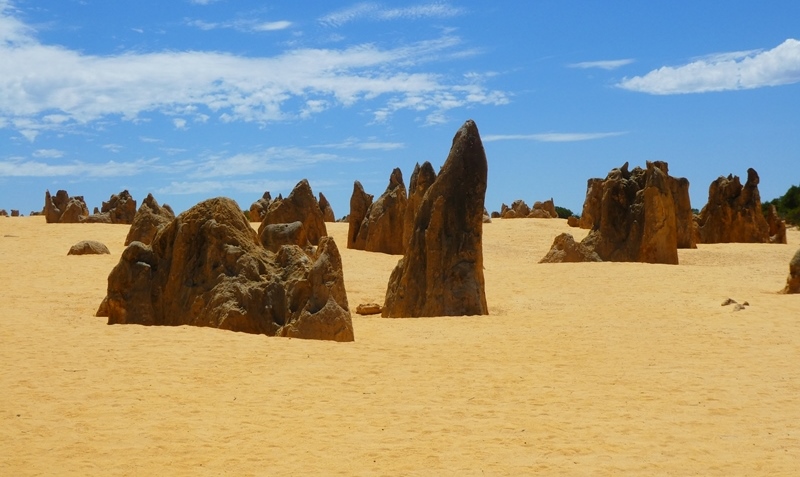 Australia Zachodnia cz. 2 - Perth i pustynia Pinnacles