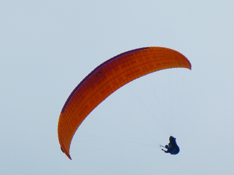 Paralotniarstwo w okolicach Port Douglas