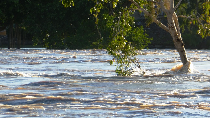 Rwąca rzeka w Rockhampton