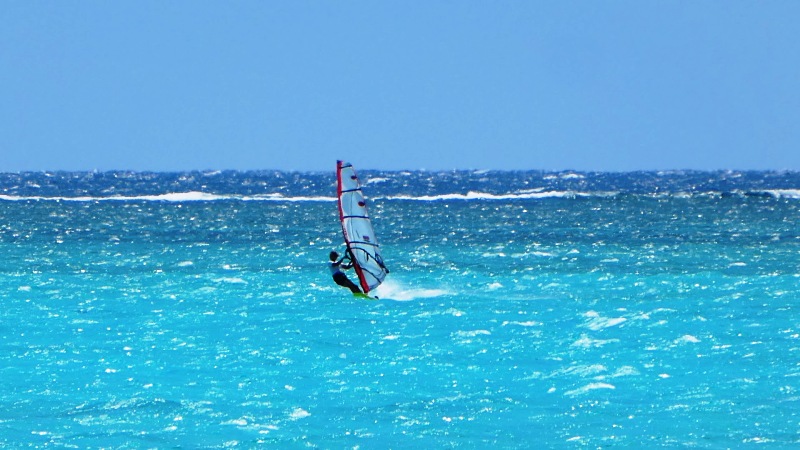 Windsurfing w Jervis Bay