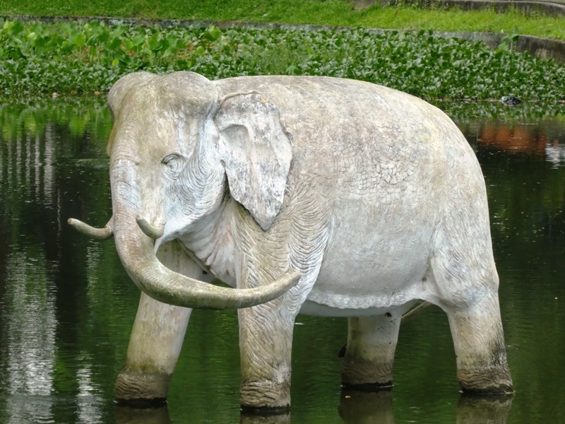 Posąg słonia