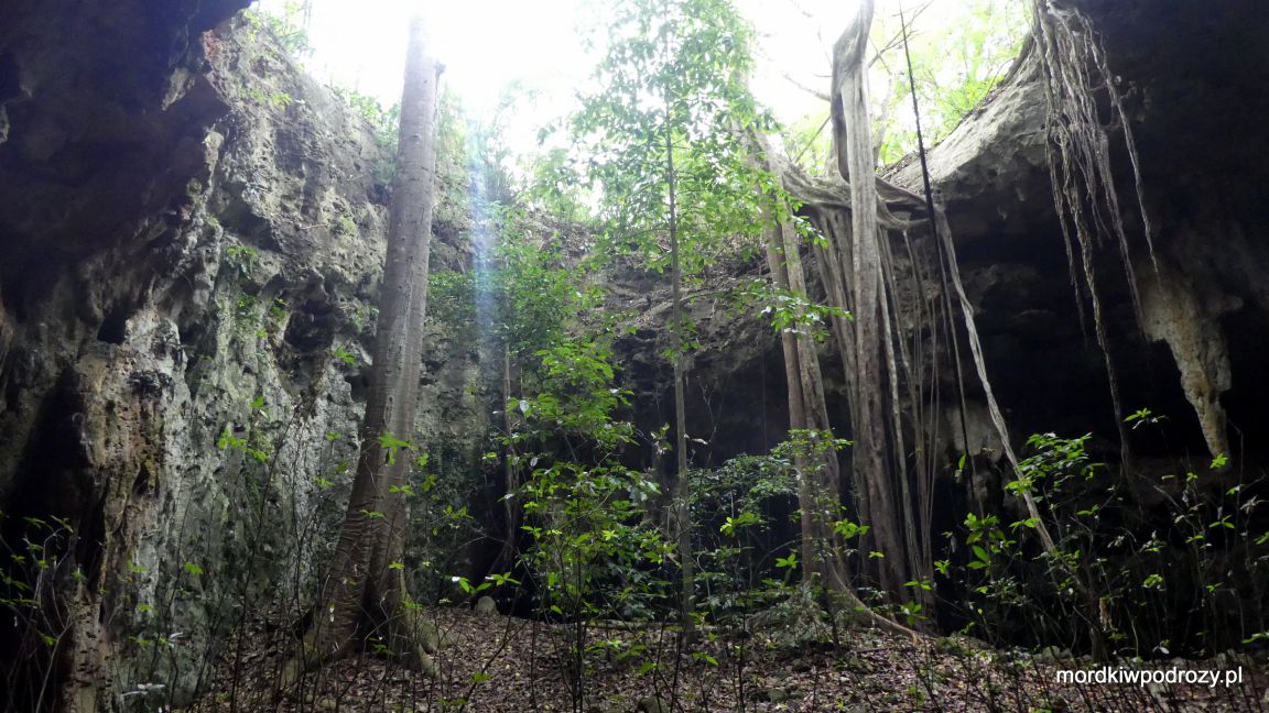 Wejście do jaskini używane niegdyś przez Majów. Jako drabiny używali korzeni ogromnych fikusów