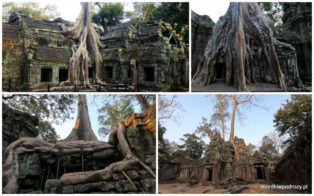 Angkor Wat w Kambodży - przewodnik i informacje praktyczne