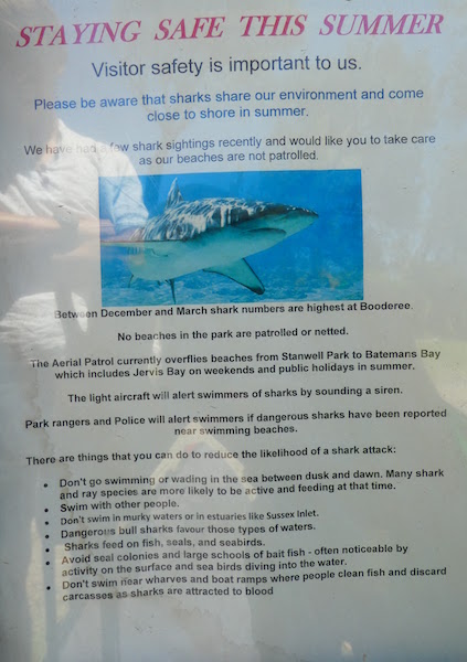 Ostrzeżenie o rekinach przy Cave Beach