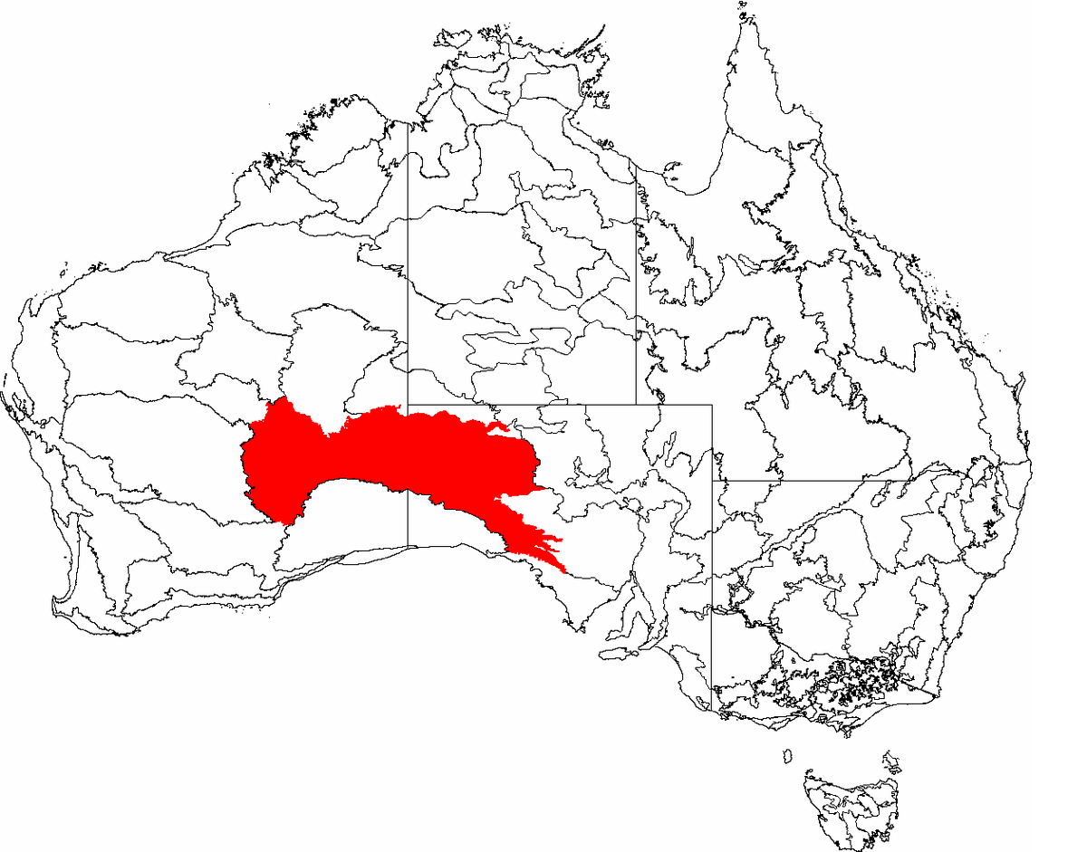 Obszar Wielkiej Pustyni Wiktorii zaznaczony na czerwono