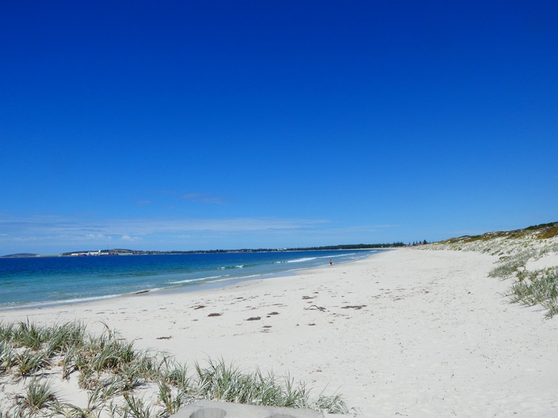 Plaże w zachodniej Australii z białymi piaskami, miejscowość Esperance 