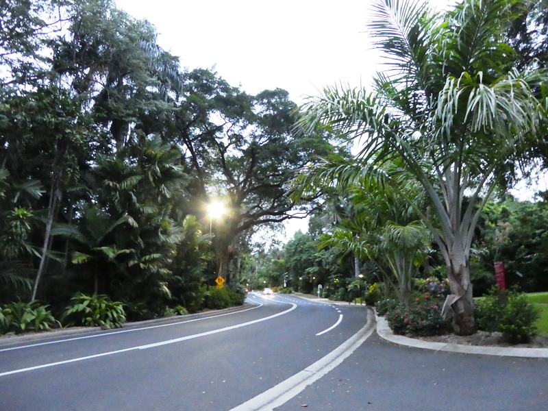 Cairns, droga biegnąca przez ogrody botaniczne