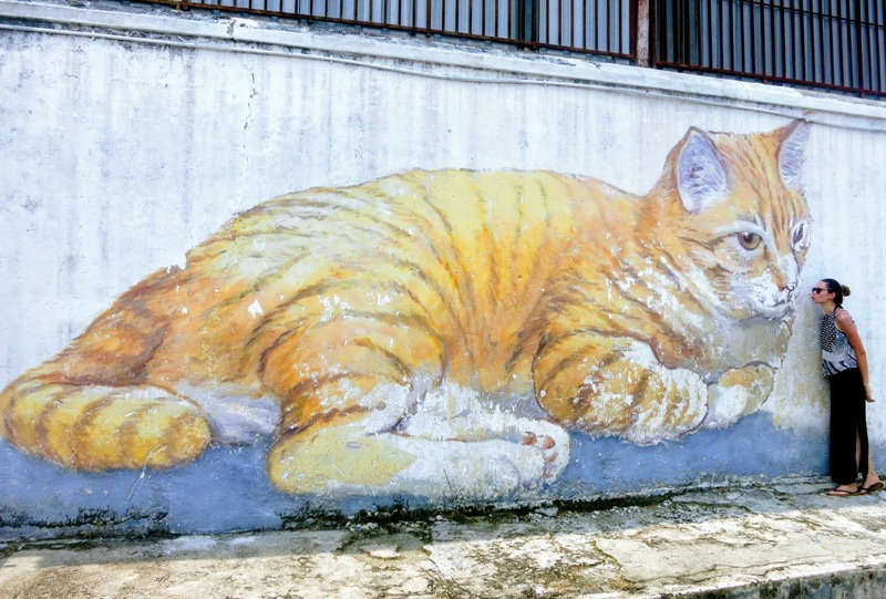 Mural kota z Pati:)