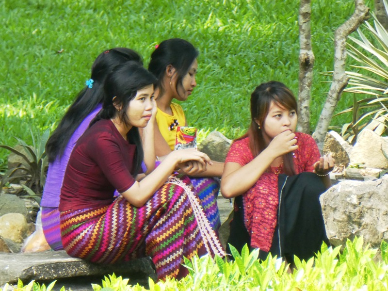 Młode birmijki