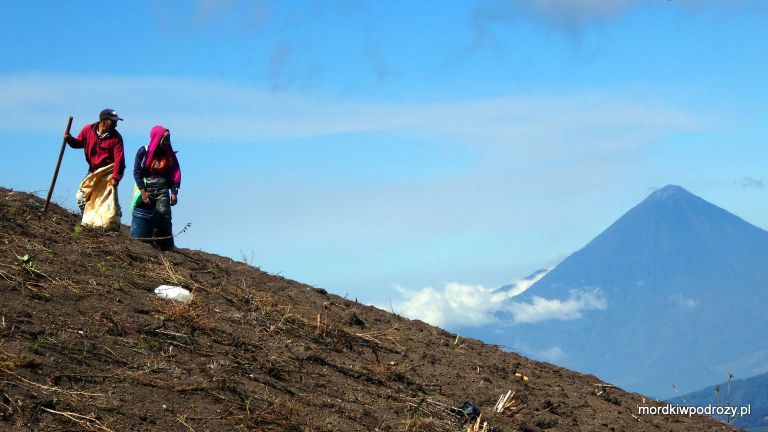 Praca na polu ziemniaków u podnóża wulkanu Acetenango, zdjęcie ze szlaku