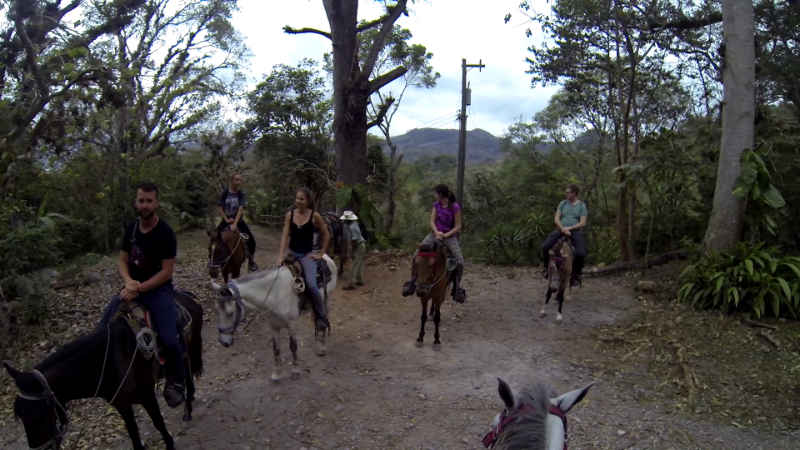 Konno w Hondurasie, co ciekawe żaden z koni nie miał wędzidła