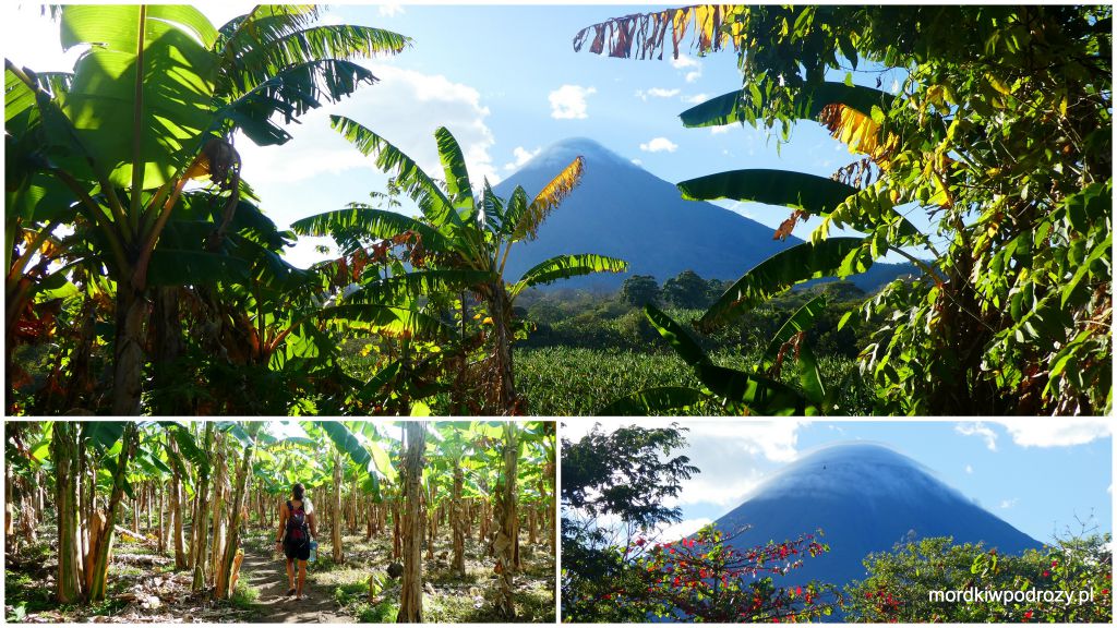 Plantacja bananów i widok na wulkan